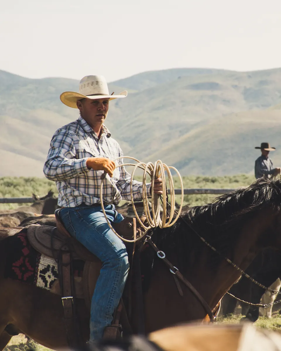 Rancher in a straw cowboy hat and plaid shirt on horseback coiling a rope during a cattle roundup