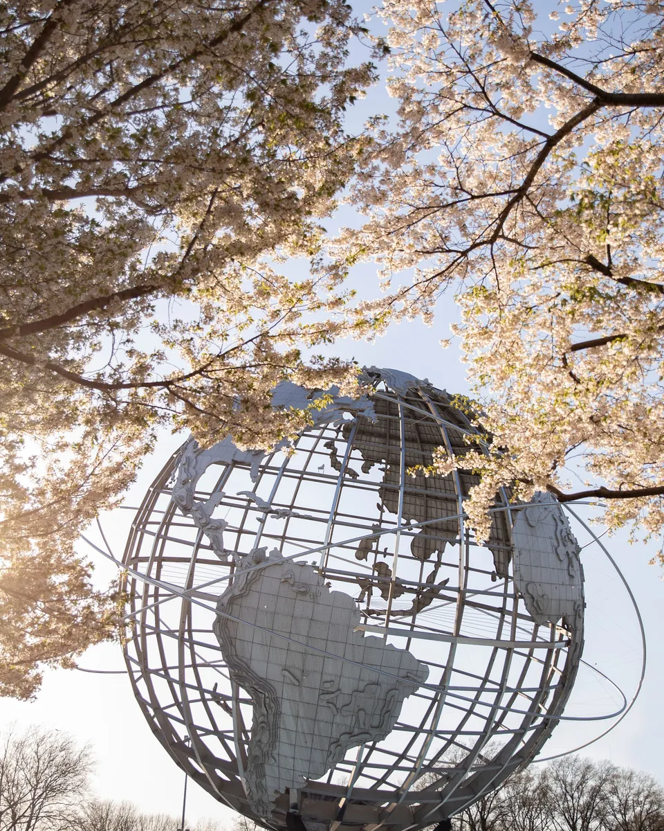 The Unisphere framed by spring blossoms in Flushing Meadows Corona Park, Queens, NY